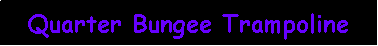 Tekstvak: Quarter Bungee Trampoline